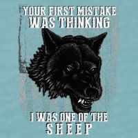 Your First Mistake Was Thinking I Was One Of The Sheep Sueded Cloud Jersey T-Shirt