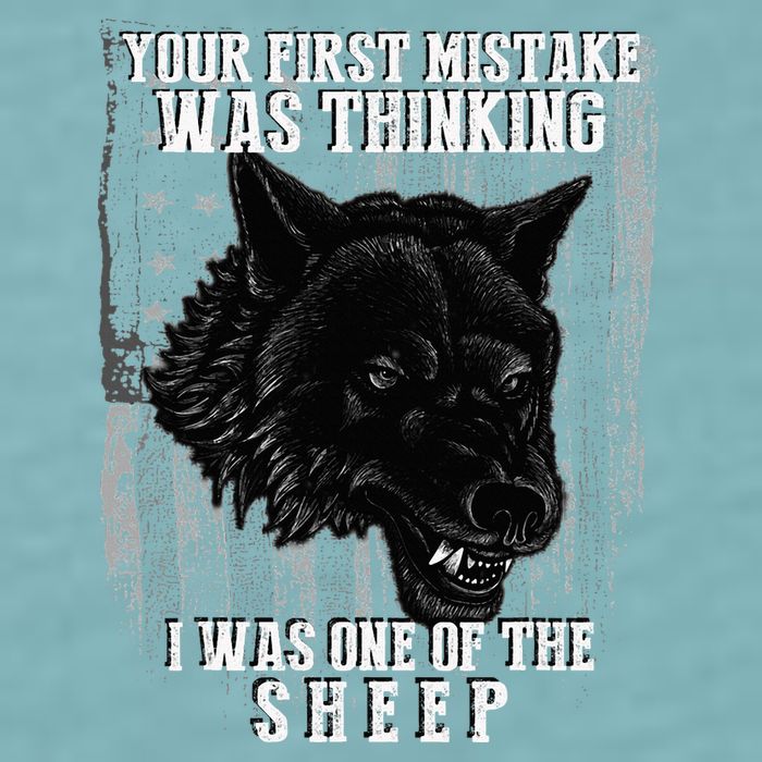 Your First Mistake Was Thinking I Was One Of The Sheep Sueded Cloud Jersey T-Shirt