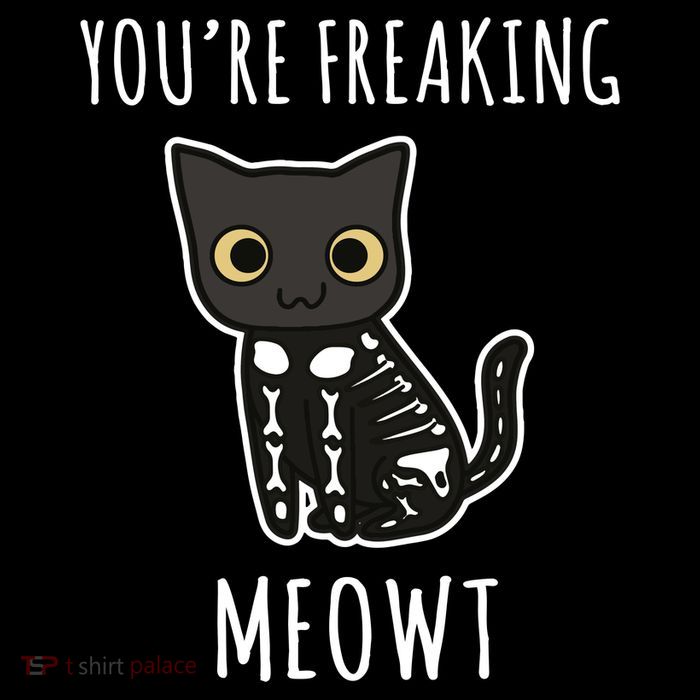 Youre Freaking Meowt Cat 16 in Basic Backpack