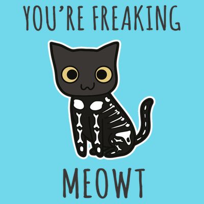 Youre Freaking Meowt Cat T-Shirt
