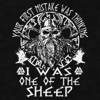 Your First Mistake Was Thinking I Was One Of The Sheep Ladies PosiCharge Tri-Blend Wicking Tank