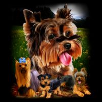 Yorkie Family Of Dogs Portrait Flatbill Hat