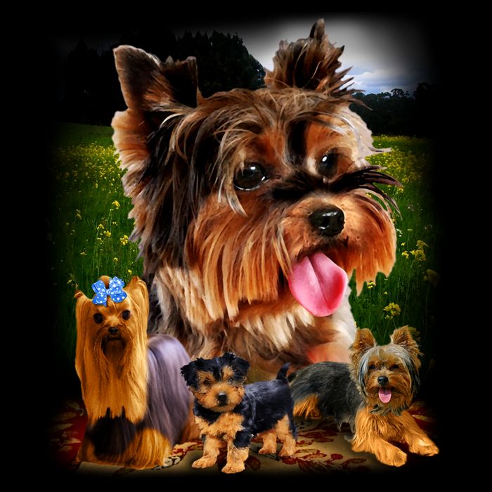 Yorkie Family Of Dogs Portrait Flatbill Hat