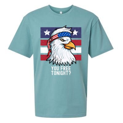 You Free Tonight? Patriotic Eagle American 4th Of July Gift Sueded Cloud Jersey T-Shirt