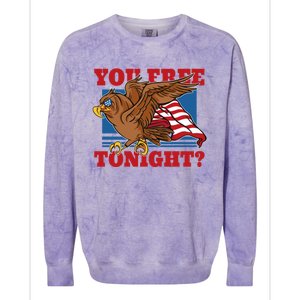 You Free Tonight Eagle 4th Of July You Free Tonight Eagle Cool Gift Colorblast Crewneck Sweatshirt