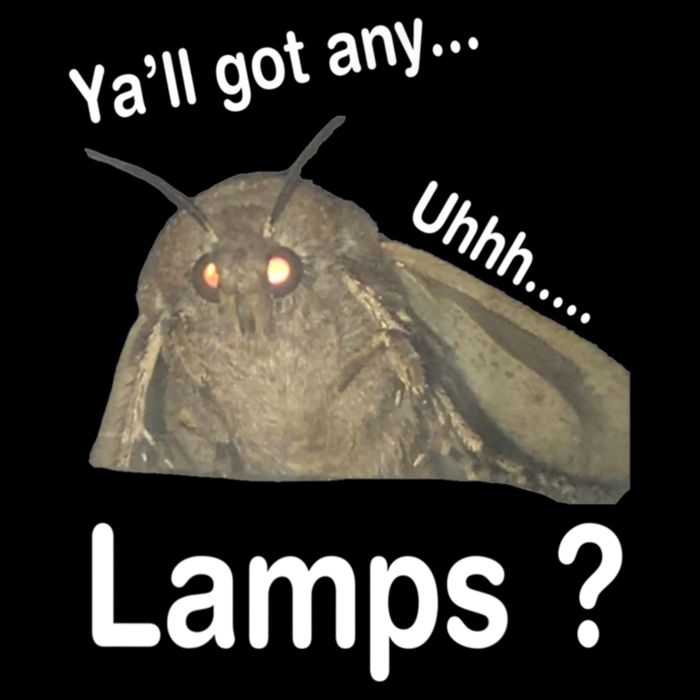 Y'all Got Any Lamps Moth Meme Sustainable Bucket Hat