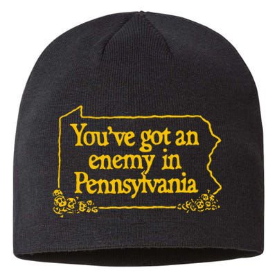 YouVe Got An Enemy Funny In Pennsylvania Funny Sustainable Beanie