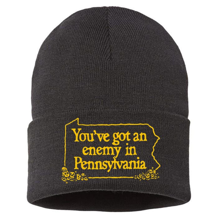 YouVe Got An Enemy Funny In Pennsylvania Funny Sustainable Knit Beanie