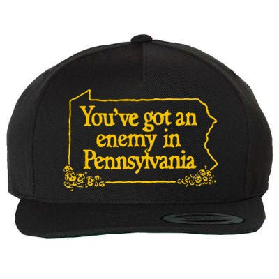 YouVe Got An Enemy Funny In Pennsylvania Funny Wool Snapback Cap