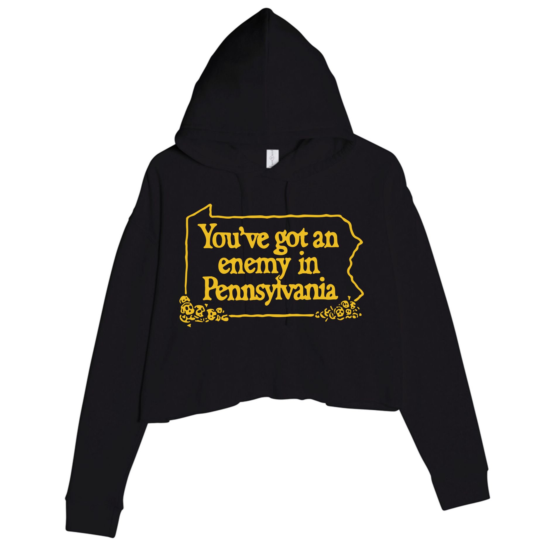 You’Ve Got An Enemy In Pennsylvania Crop Fleece Hoodie