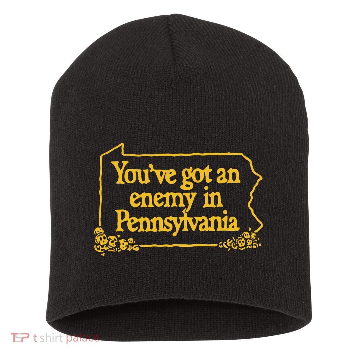 You’Ve Got An Enemy In Pennsylvania Short Acrylic Beanie