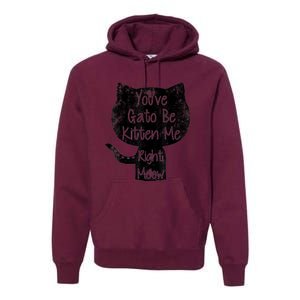 You Gato Be Kitten Me Right Meow Distressed Cat Pun Premium Hoodie