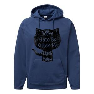 You Gato Be Kitten Me Right Meow Distressed Cat Pun Performance Fleece Hoodie