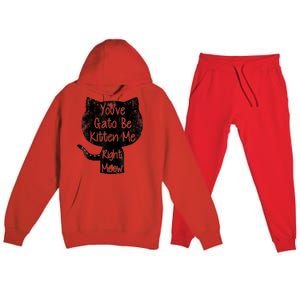 You Gato Be Kitten Me Right Meow Distressed Cat Pun Premium Hooded Sweatsuit Set