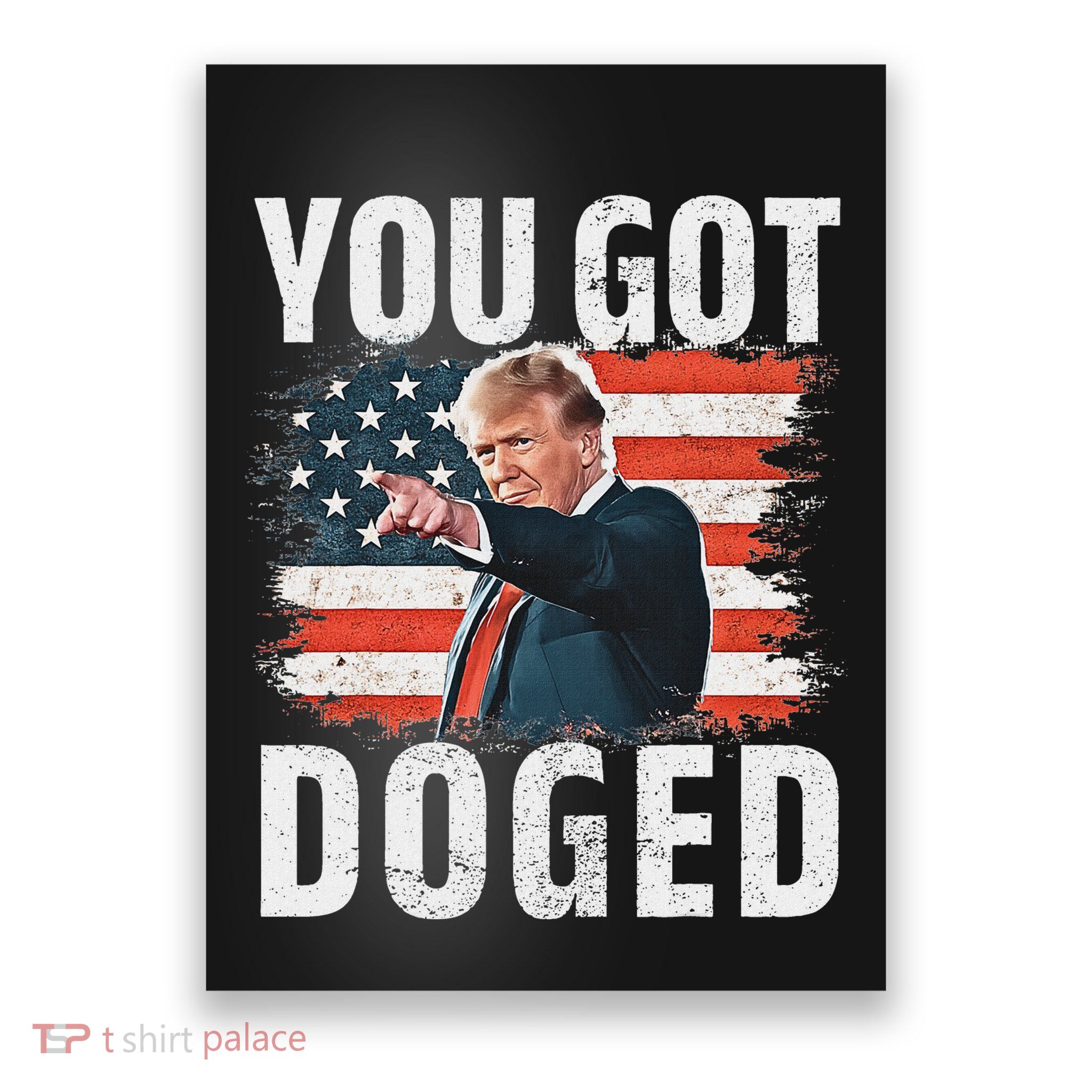 You Got Doged Funny Trump Vintage American Flag Doged Poster