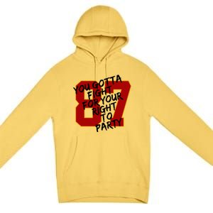 You Gotta Fight For Your Right To Party Kansas 87 Premium Pullover Hoodie