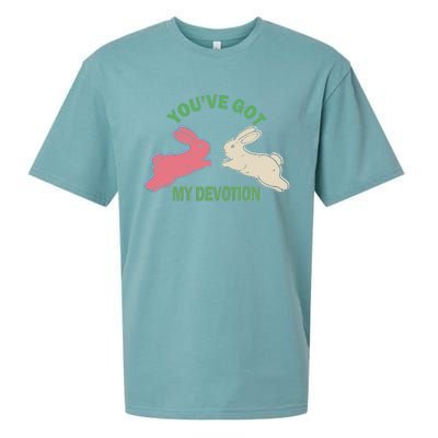 You've Got My Devotion Rabbit Cute Trending Gift Idea Sueded Cloud Jersey T-Shirt