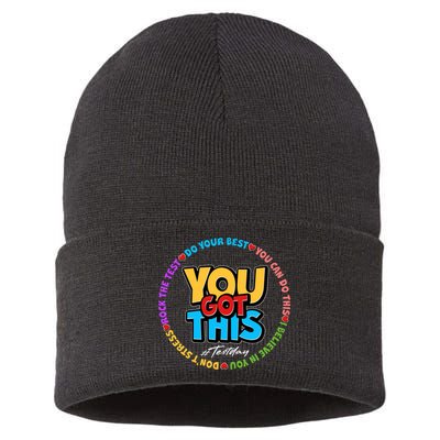 You Got This #Test Day Sustainable Knit Beanie