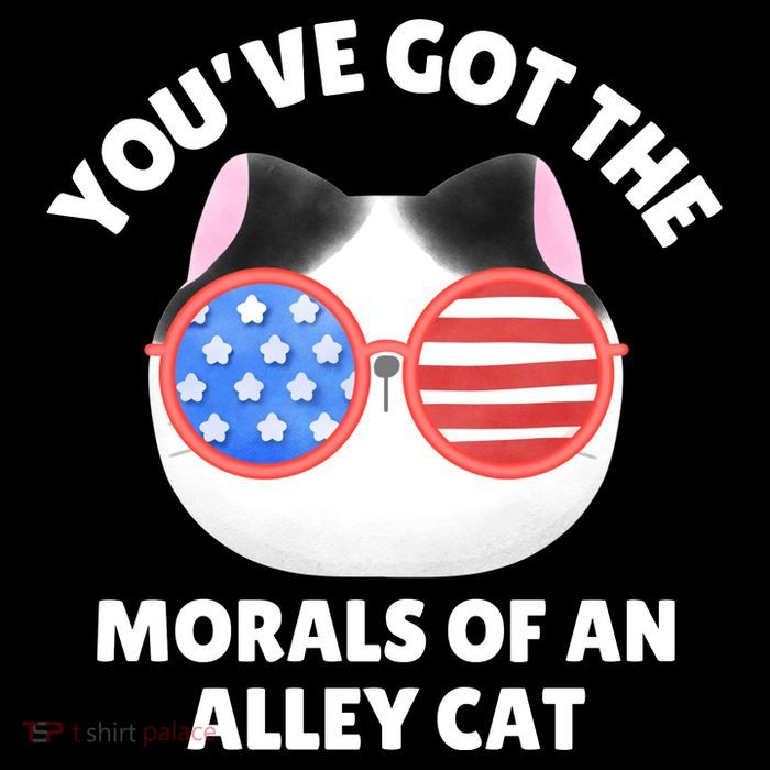 You’Ve Got The Morals Of An Alley Cat High Crown Mesh Back Trucker Hat