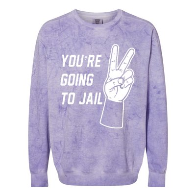 You’Re Going To Jail Los Angeles Baseball Colorblast Crewneck Sweatshirt