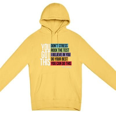 You Got This Don’T Stress Premium Pullover Hoodie