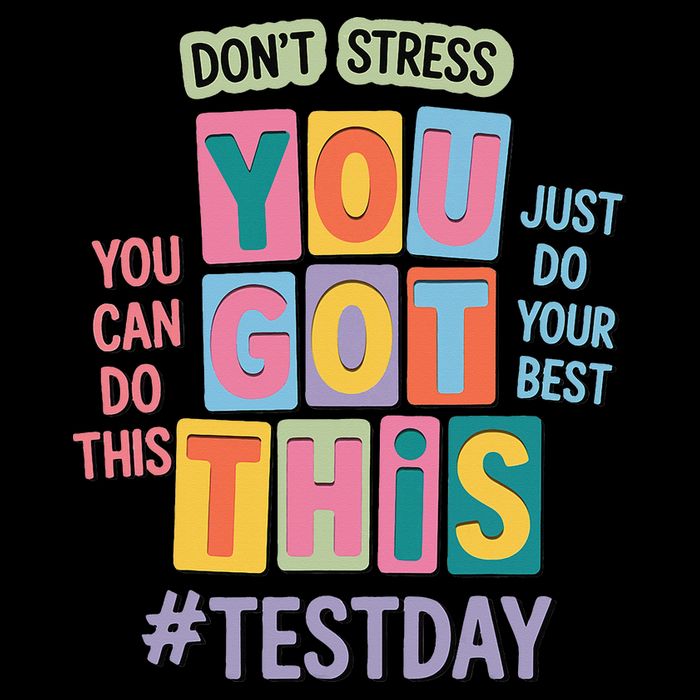 You Got This DonT Stress Rock The Test Test Day Zip Tote Bag
