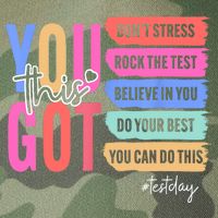 You Got This Don'T Stress Rock The Test Test Day Student Legacy Tie Dye Trucker Hat