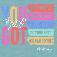 You Got This Don'T Stress Rock The Test Test Day Student Sueded Cloud Jersey T-Shirt