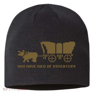 You Have Died Of Dysentery Oregon Trail Sustainable Beanie