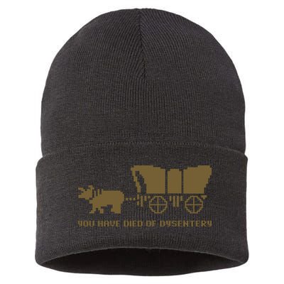 You Have Died Of Dysentery Oregon Trail Sustainable Knit Beanie
