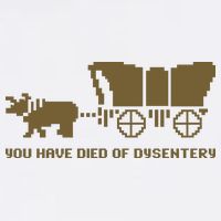You Have Died Of Dysentery Oregon Trail Sustainable Bucket Hat
