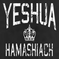 Yeshua Hamashiach Hebrew Jesus The Messiah Adult Drive Performance Visor