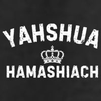 Yeshua Hamashiach Hebrew Messiah Jesus Funny Gift 7 Panel Mesh Trucker Snapback Hat