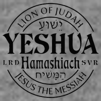 Yeshua Hamashiach Jesus The Messiah Lion Of Judah Christian 7-Panel Snapback Hat