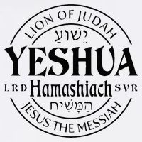 Yeshua Hamashiach Jesus The Messiah Lion Of Judah Christian Wool Snapback Cap