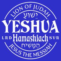 Yeshua Hamashiach Jesus The Messiah Lion Of Judah Christian Cute Gift 16 in Basic Backpack