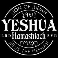 Yeshua Hamashiach Jesus is Messiah  Youth Performance Sprint T-Shirt