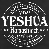 Yeshua Hamashiach Jesus The Messiah Lion Of Judah Christian Adult Drive Performance Visor