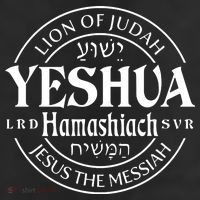 Yeshua Hamashiach Jesus The Messiah Lion Of Judah Christian Cute 7 Panel Mesh Trucker Snapback Hat