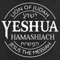 Yeshua Hamashiach Jesus The Messiah Christian Judah Lion Adult Drive Performance Visor