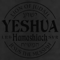 Yeshua Hamashiach Jesus The Messiah Lion Of Judah Christian Adult Drive Performance Visor