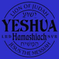 Yeshua Hamashiach Jesus The Messiah Lion Of Judah Christian Bag