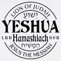 Yeshua Hamashiach Jesus The Messiah Lion Of Judah Christian Garment-Dyed Sweatshirt