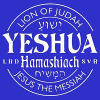 Yeshua Hamashiach Jesus the Messiah Lion Of Judah Christian 16 in Basic Backpack