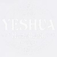 yeshua hamashiach jesus the messiah Youth Performance Sprint T-Shirt
