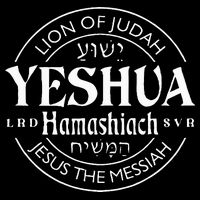 yeshua hamashiach jesus the messiah T-Shirt