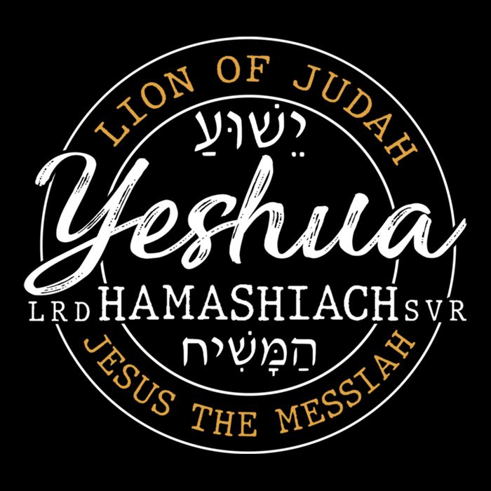 Yeshua Hamashiach Jesus The Messiah Hebrew Lion Of Judah Funny Gift Bucket Hat