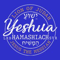 Yeshua Hamashiach Jesus The Messiah Hebrew Lion Of Judah Funny Gift T-Shirt