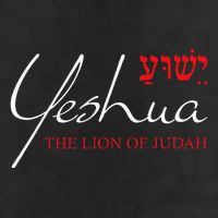 Yeshua Hebrew Lion Of Judah Christian Adult Drive Performance Visor