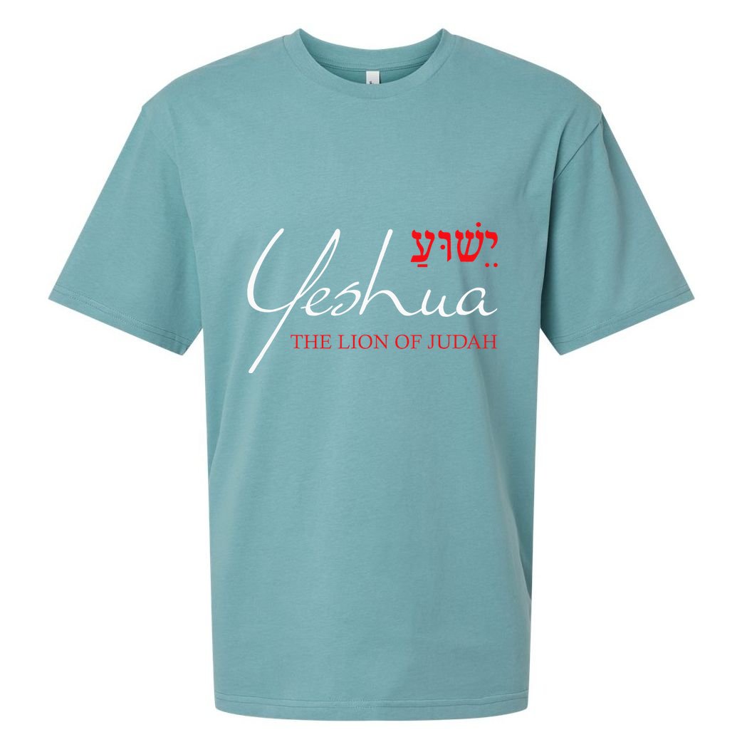 Yeshua Hebrew Lion Of Judah Christian Sueded Cloud Jersey T-Shirt